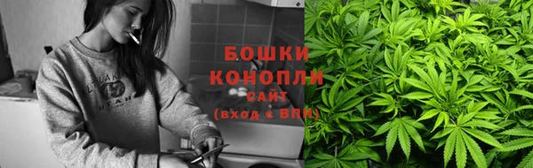 дурь Лиски