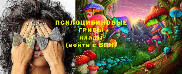 гидропоника Алзамай
