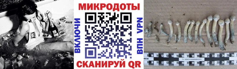 дарк нет Telegram  как найти закладки  Чистополь  Псилоцибиновые грибы мицелий 